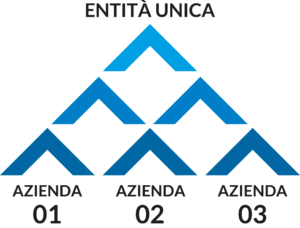 entità unica Bazzi Insurance Partners