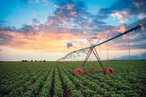 Assicurazione Agricoltura
