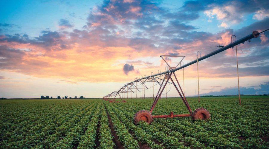 Assicurazione Agricoltura