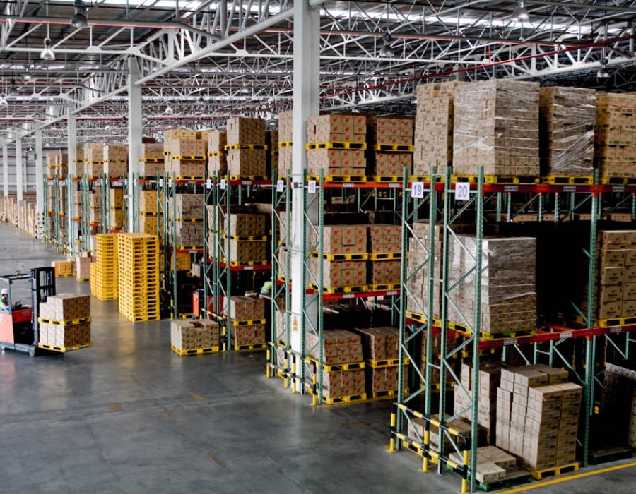 Magazzino Export